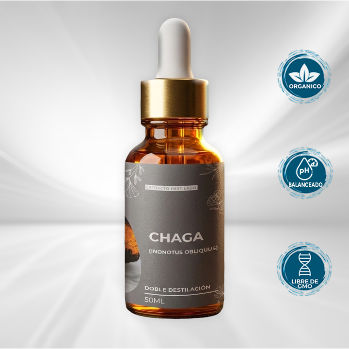 Chaga Extracto de Doble Destilación